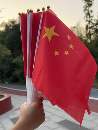 #五星红旗🇨🇳 #我爱我的祖国 #祝祖国繁荣昌盛