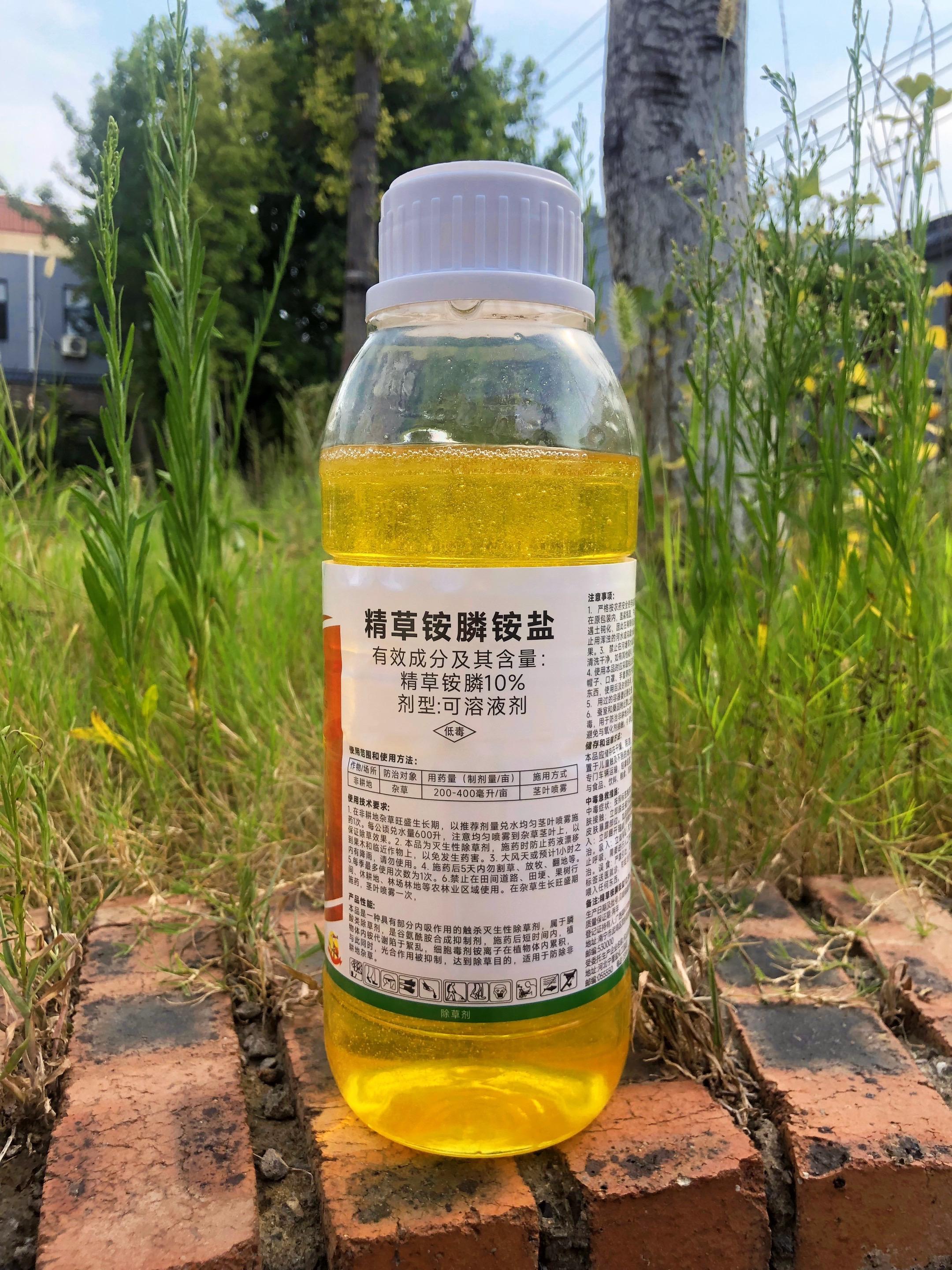 精草铵膦铵盐除草剂。果园里杂草总与果树争养分,荒地上疯长的野草清理起来费时费力?别发愁,豫满农精草铵勝铵盐除草剂来助 力。 无论是难缠的杂草,还是大片的草丛,它都能轻松搞定。不管是果园、荒地,还是田埂等场景,都能派上用场。1000ml 的大容量,一瓶能顶好几瓶,适合大面积 除草,长期存放也划算,深受不少用户青睐。 使用方式很简便,只需轻轻一喷就行。药剂能快速渗入 杂草,从根部抑制其生长,为作物留出充足的生长空问。它采用环保材料制作,对土壤和果树影响小,喷一次就能长时间控制杂草生长,既省心叉省力,为丰收添份力。 从原料到成品,每一步都经过严格检验,品质有保障,让你用得放心。#强烈推荐 #农特产品 #特色农产品 #农产品 #新农人计划