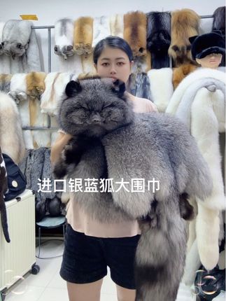 真皮真毛,整只大围巾,喜欢的点个关注吧!