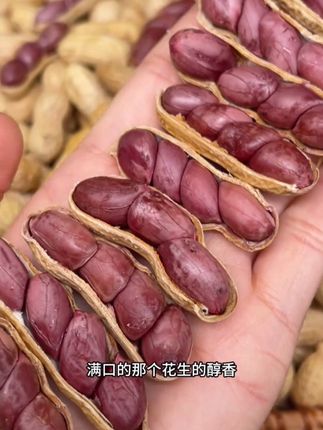 #烤花生 精选福建龙岩紫衣花生,吃起来又酥又脆,咸香可口,好吃停不下来#妈呀太香了 #开袋即食 #大人小孩都爱吃