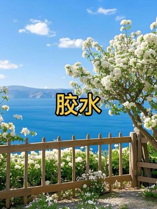 超便宜划算