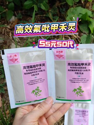 #芦苇 #农业种植 #高效氟吡甲禾灵 #好物推荐🔥 #三农