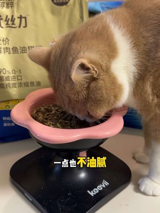 大品牌醇粹新品高端美毛猫粮价格也太香啦!!#醇粹 #猫粮推荐