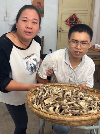 #鹿茸菇#鹿茸菇干货#鹿茸菇煲汤#煲汤#营养健康