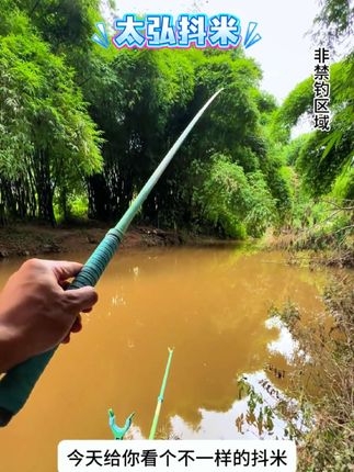 喜欢钓鲫鱼的,这款抖米一定别错过了#钓鱼 #钓鱼饵料 #太弘抖米 #抖米 #大板鲫