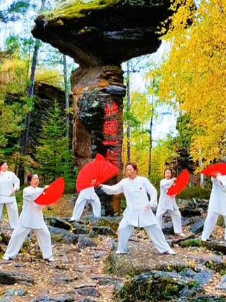 #钻石币充值 太极之韵,石林之奇,团队之心,共谱精彩篇章。#石林风景区 #太极团队 #治愈系风景 #中国传统文化 @玲萱