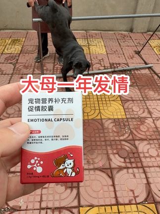 #狗狗 #宠物 #萌宠出道计划