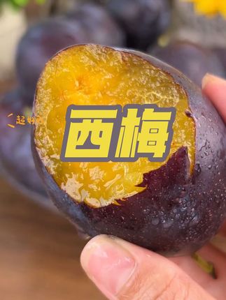 新鲜大西梅!蓝蜜西梅!个头大,酸甜多汁,特别好吃!新鲜采摘包邮!#应季水果#大西梅 #新鲜西梅#蓝蜜西梅 #西梅