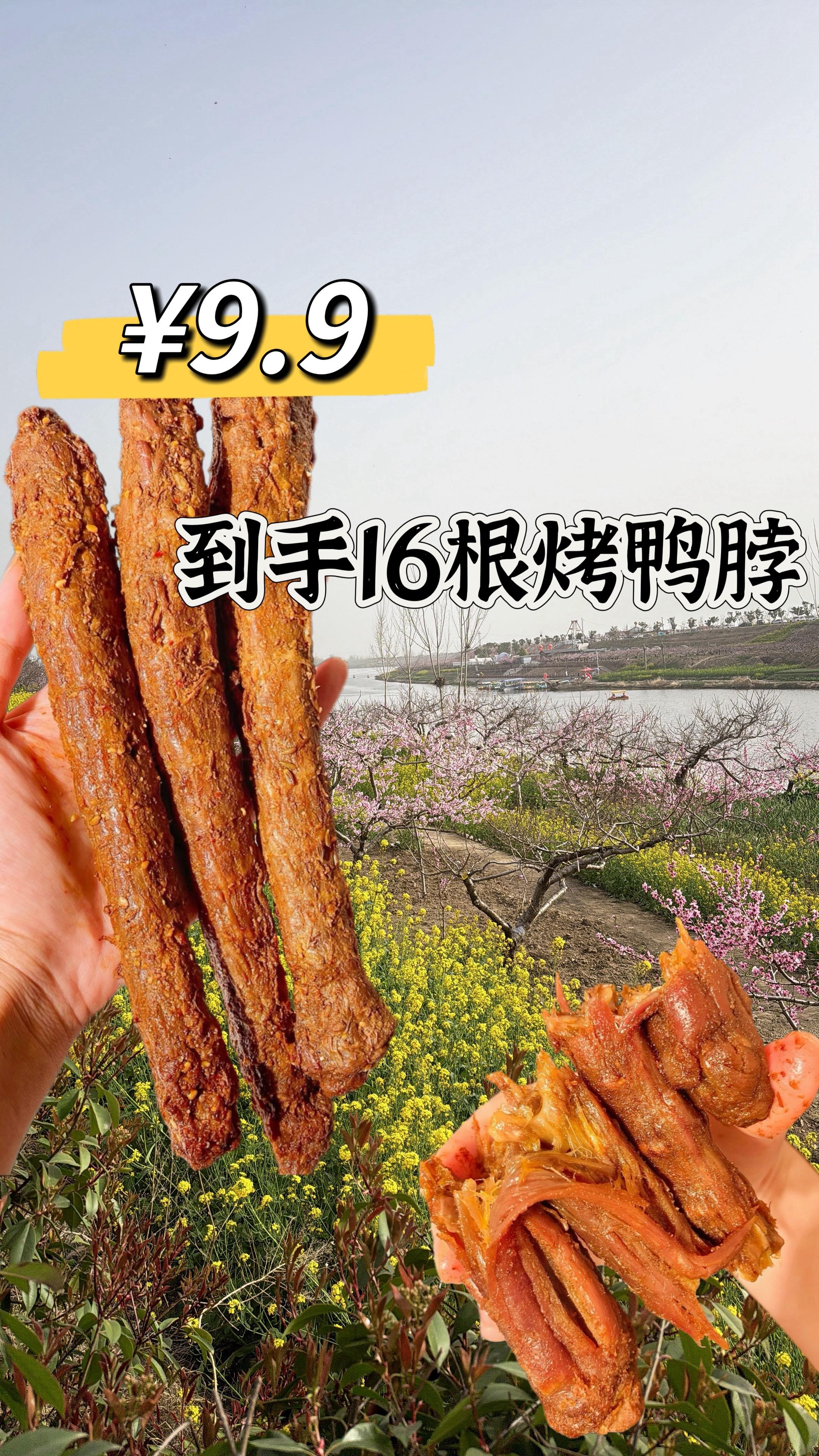 16根烤鸭脖9块9,追剧或者下酒超满足。🈵️🈵️的酱汁的那种卤鸭脖 超上头啊啊啊 重点是还是辣的我的最爱!! 它整个鸭脖子卤的超入味整个肉里满满的酱汁 简直就是裹满了鸭脖!! 鸭脖的肉口感刚刚好~很紧实的那种 特别是里面的骨头🦴直接可以嚼到烂绝了!! 超香里面汤汁直接吱出来啊啊啊啊爱了 太上头了根本停不下来!!!!#鸭脖 #解馋 #追剧小零食 #零食推荐 #下酒必备