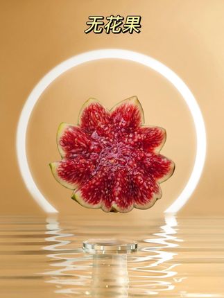 挖到宝啦、#无花果 不愧是树上糖包子,果肉丝滑软糯 甜到流蜜,太好吃了吧#新鲜无花果 #新鲜采摘 #应季水果 #快来一起尝个鲜