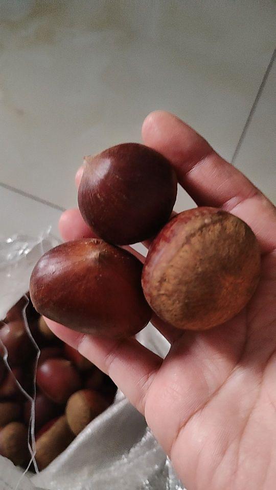 很新鲜,都是大果,这是我最满意的一次购物,良心商家,祝福你生意兴隆,财源广进!#我在抖音买买买