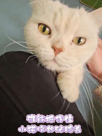寒假,英德有什么好玩的!来撸猫吗?这家动物咖动物超粘人的
#寒假 #泡泡兽自然空间 #英德好玩的地方推荐
#动物咖