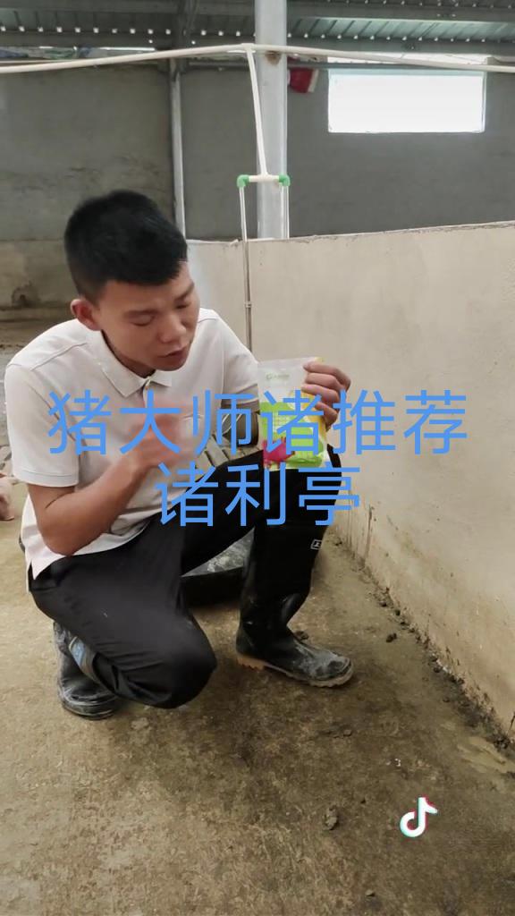 这种情况你们是怎么做的呢? #养猪技术 #养殖 #养猪场 #三农 #养猪人