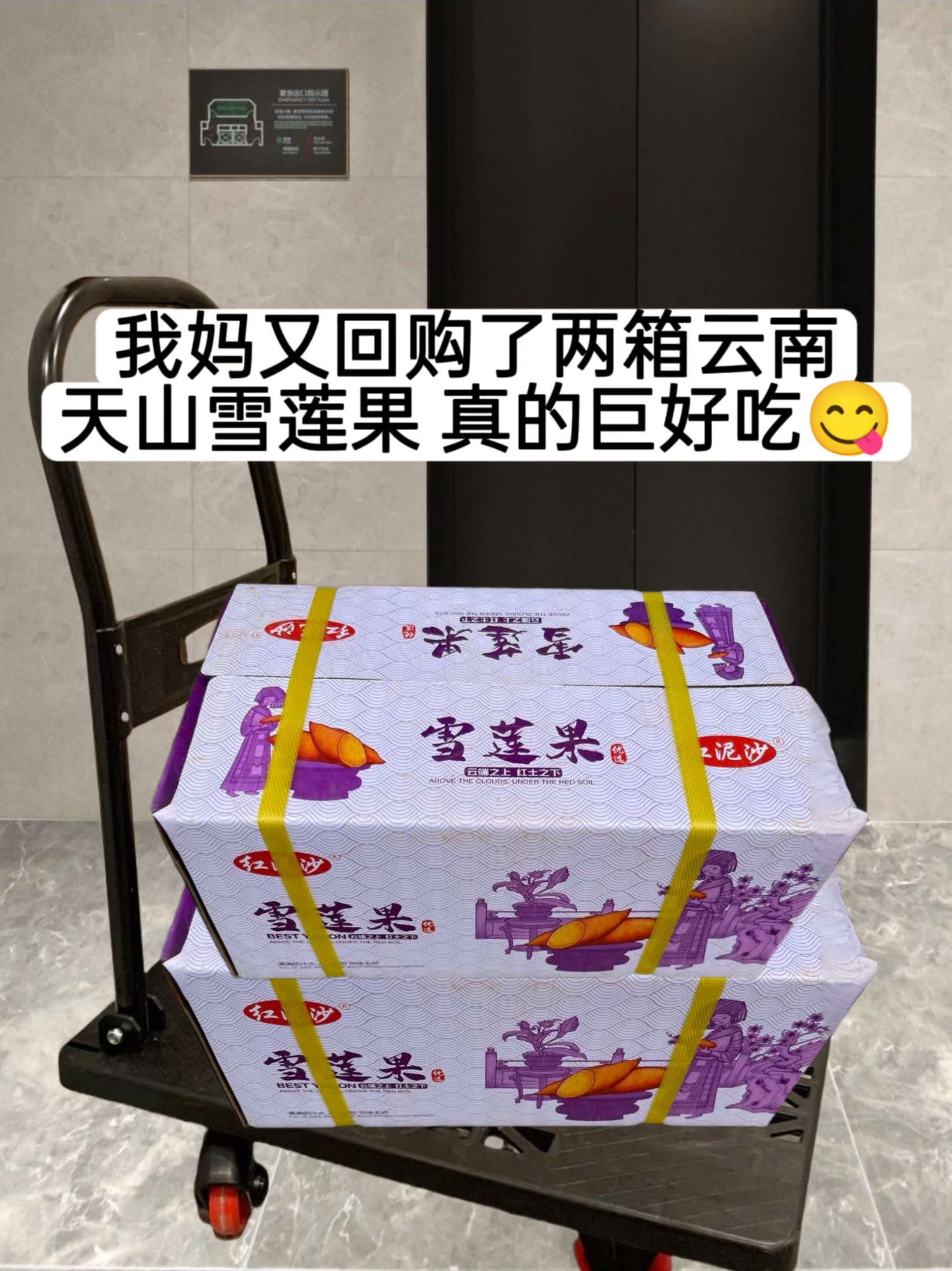 云南天山雪莲果·现挖直发,金黄果肉藏着阳光的暖意,咬开便是清甜脆嫩的口感,汁水丰盈如蜜般流淌。低糖轻负担,每一口都是自然本真的味道。 新鲜现挖保留原始风味,冰镇后咬下更添几分沁爽脆嫩,一口爱上这份清爽~#新鲜采摘 #雪莲果 #脆甜多汁 #大人小孩都爰吃 #谁懂这一口的好吃程度