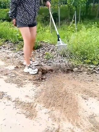 搂草耙子伸缩式,不锈钢扫树叶落叶可调节,铁耙子伸缩草耙,园艺工具 #园林工具 #户外用品 #农具 #草耙子