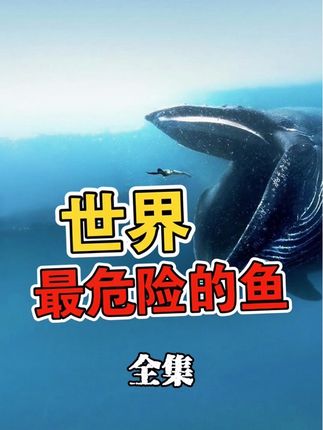 世界上最危险的十种鱼 #每天跟我涨知识 #知识科普 #海洋生物 #看完涨知识