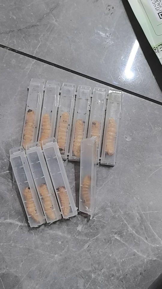 超级划算,99十条😄😄😄😄😄😄#我在抖音买买买