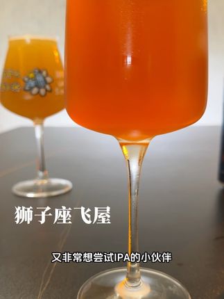 想体验IPA的香却吃不了一点苦!真的可以是不是#飞屋 这个厂牌#IPA #精酿啤酒