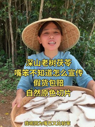 假货茯苓害人害己 #茯苓 自然生长的茯苓颜色自然,淡淡的菌香味
