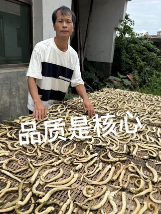 忙完白辣椒又要去拉小米辣,再忙再累做产品也不能将就,因为品质才是核心#白辣椒 #手工农产品 #抖音乡村美食