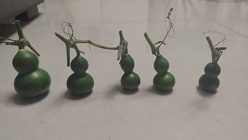 款式外观:型正漂亮还便宜,很良心的商家,好多商家直播间里给你看的都是高货,发过来根本不是你选的。这家老板良心商家发过来和直播间所见即所得,点赞全是高货还便宜!!!#我在抖音买买买
