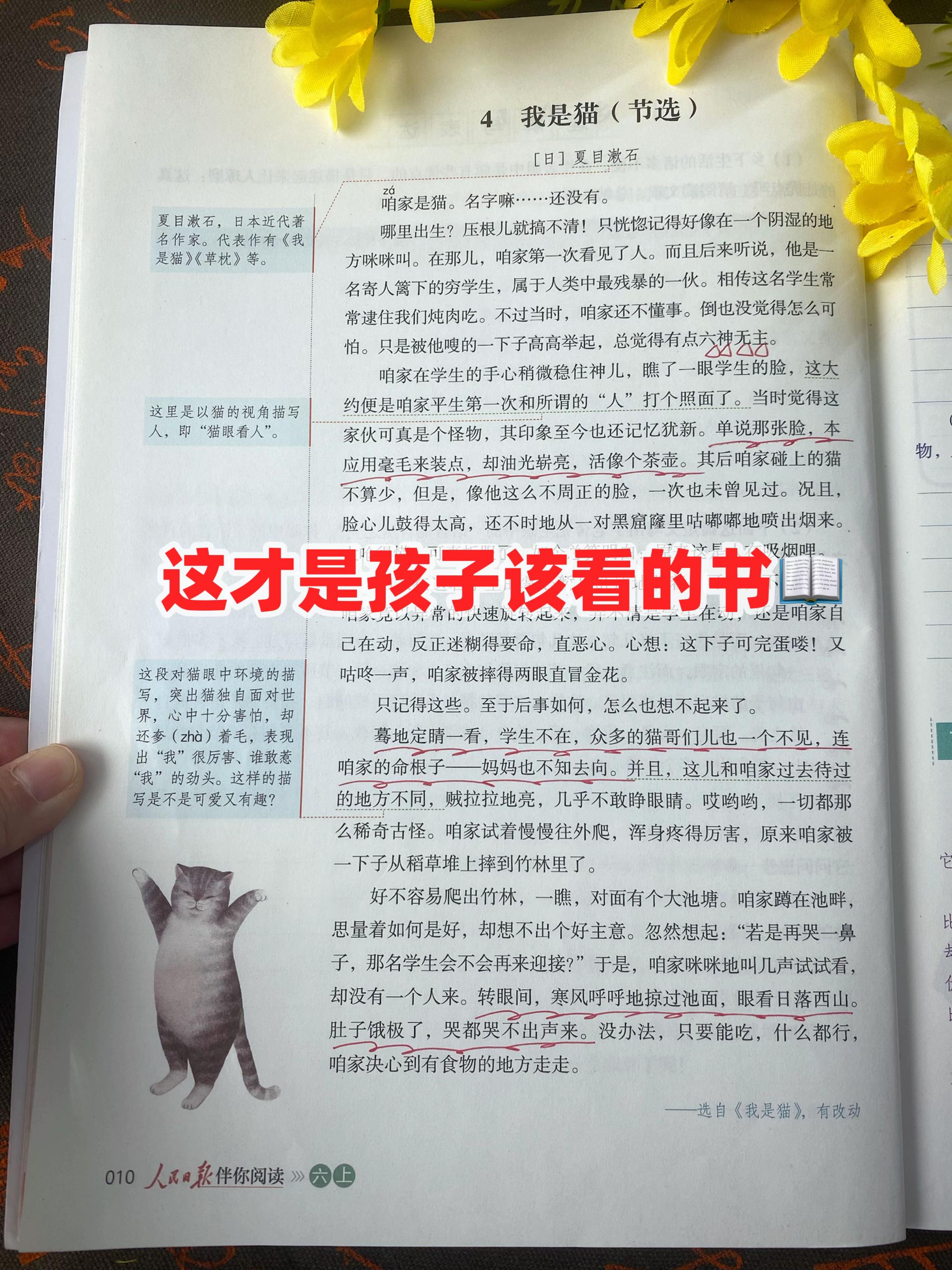 小学阶段就是要多看书,多阅读#课外阅读 #小学 #语文 #素材积累