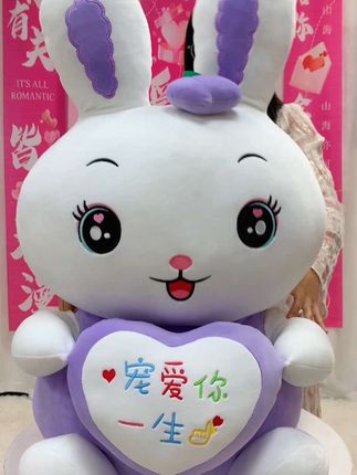 发光不是太阳的权利你也可以 #毛绒玩具 #送女生礼物 #儿童礼物 #生日礼物
