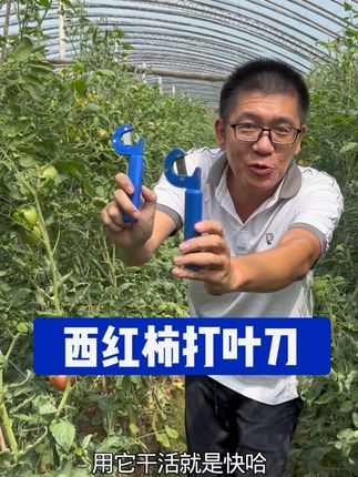 #番茄打叶刀