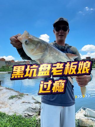 第一次盘老板娘,还蹭了网,到底上岸了吗?#黑坑盘老板 #dou是钓鱼人 #上赞随身wifi #上赞 #上赞5g随身wifi
