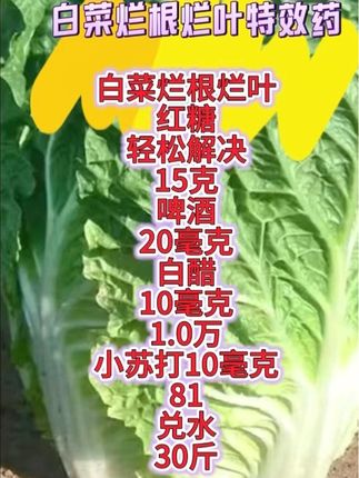#三农种植 #三农种植小妙招 #三农种植新方案 #帮助农民增产增收