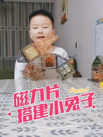 磁力片搭建小兔子🐇#磁力片 #智力开发 #手工 #牛哥很哇塞