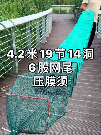 #河虾笼 #压膜须进口 #方头有结网尾压膜须#逮鱼摸虾 #养殖网 4.2米19节14洞压膜须进口,上河虾效果好