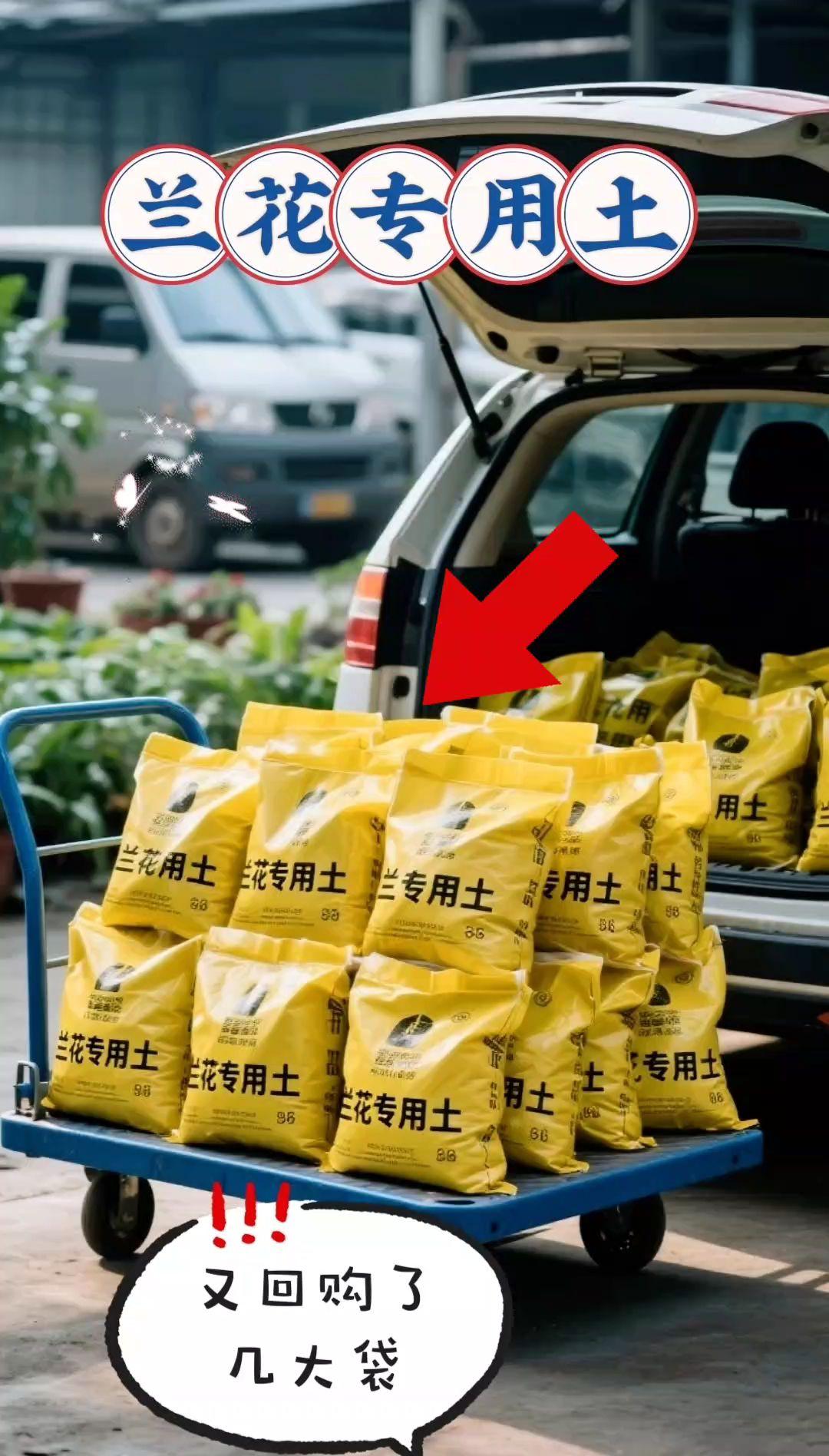 兰花专用土。你还在为兰花蔫软无力、缺乏生机而烦恼吗?问题大多出在植料上!这款兰科专用营养土,矿物质“能量站”猛猛输送营养,根壮、花箭直、叶片疯长,可谓养兰的“得力助手”。严选天然腐熟松针、珍珠岩、蛭石等原料,经科学配比调配,透气性好到惊艳,好比给兰根装了“通风口”,从根本上杜绝积水烂根。它营养丰富,饱含多种矿物质和微量元素,能持续为兰花生长输送能量 新手也能轻松上手。不管你是刚接触兰花的新手,还是资深养兰玩家,用它都能养出根系健壮、花箭挺拔、叶片繁茂的漂亮兰花。需要的你也速速给爱兰换上这款“育花法宝”一一兰花营养土!#兰花专用土#营养丰富#疏松透气#兰科植物通用型#抖音热搜