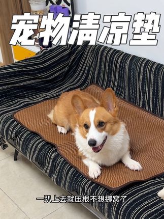 就这价格的宠物凉席,还要什么自行车#萌宠好物 #养狗经验分享 #养狗经验分享