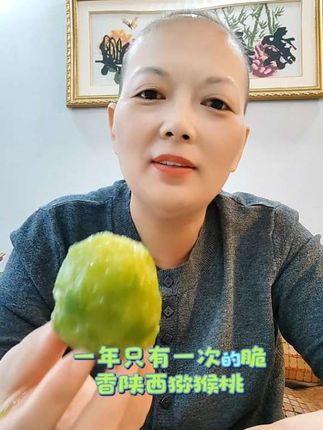 每天吃上几个,维生素C含量丰富,正宗陕西周至翠香猕猴桃,很好吃。#猕猴桃 #软糯香甜 #周至猕猴桃#翠香猕猴桃