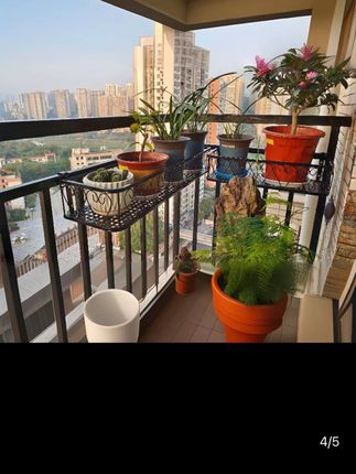栏杆花架,封窗阳台也适用#花架 #阳台花盆挂架#栏杆花架#阳台小花园