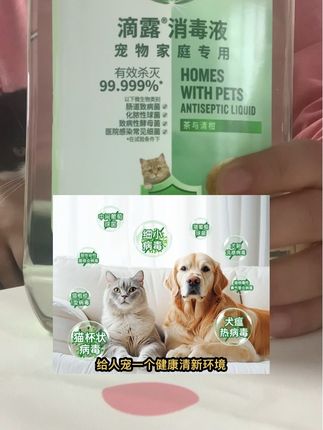 家里有宠物的拿这个喷几下,家里就不会有臭味了,养宠家庭真的可以囤起来。#宠物用品 #养猫新手 #科学养宠 #萌宠好物 #滴露宠物消毒液