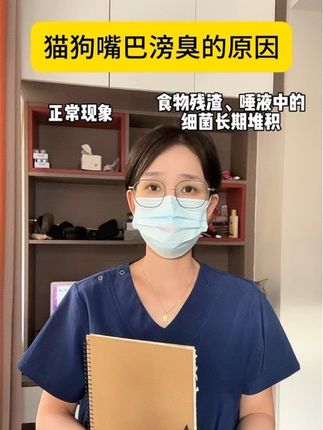 猫狗牙齿长期不清洁会威胁健康、减少寿命,当猫咪口臭、牙齿黄黄的就要及时刷牙了#宠物知识 #养宠进阶指南 #养猫小百科 #科学养宠攻略 #萌宠好物