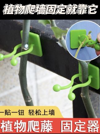 #绿萝爬墙固定器 #固定器#爬藤固定器#固定夹#好物分享