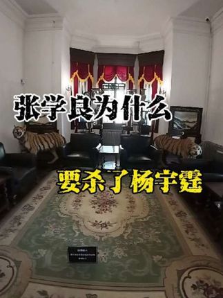张学良为什么要杀了杨宇霆呢,杨宇霆不死东北真的不会丢吗#杨常事件 #杨宇霆 #大帅府 #旅行推荐官 #人物故事