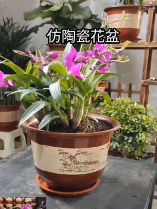 #透气花盆 #结实耐用 #质量杠杠的好 #超便宜超划算 #花盆推荐
