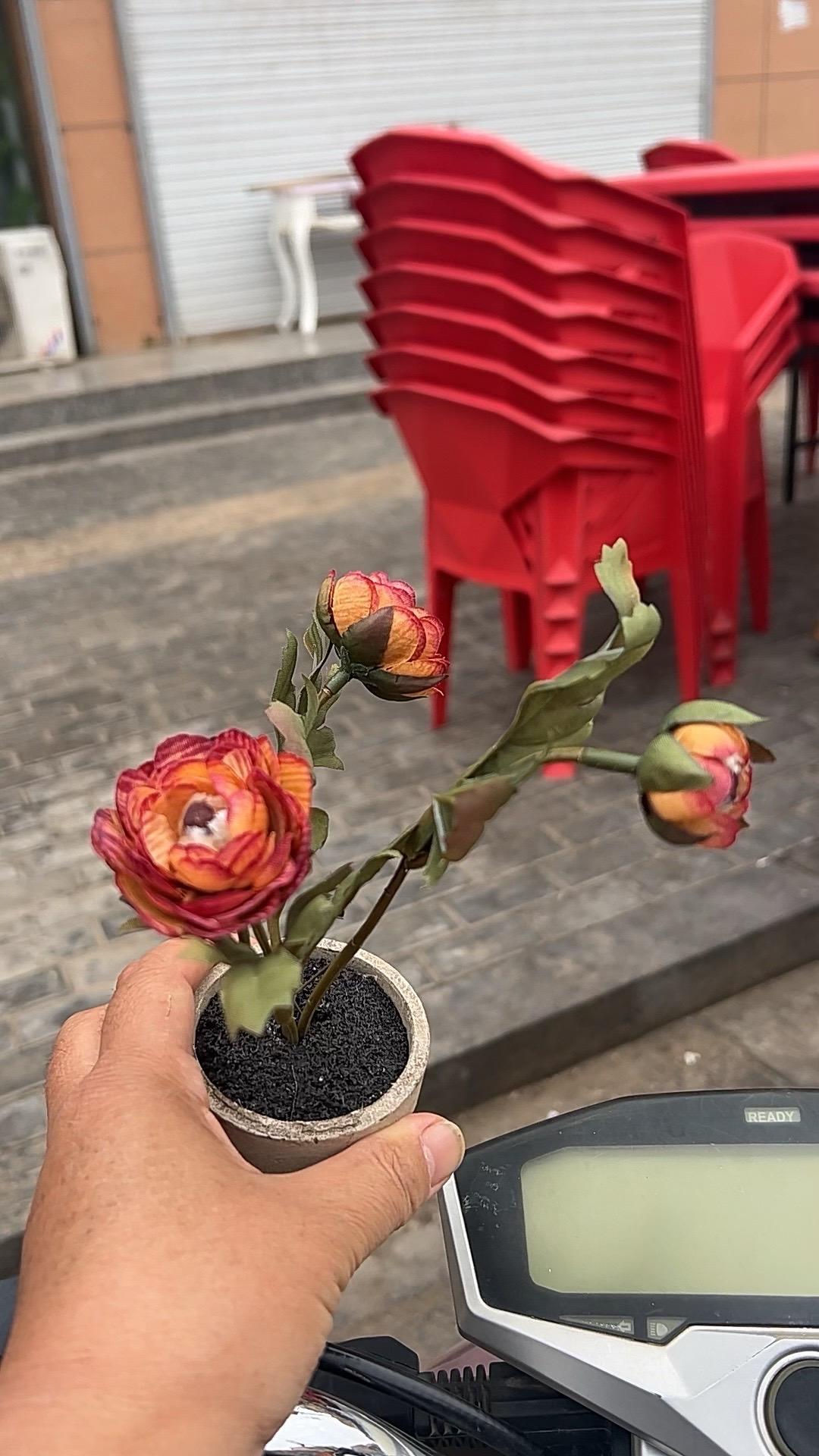 #我在抖音买买买