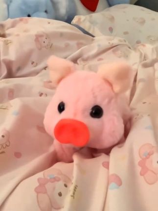 小猪我自己养了 我和你没有以后了 #小香猪 #萌物