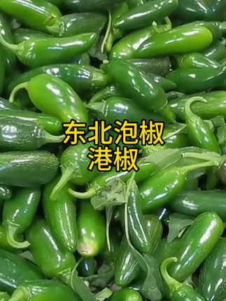 #辣椒🌶 #东北港椒