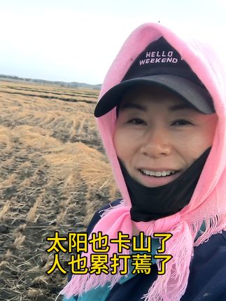 黑天就回家#水稻 #丰收季 #农民种地不容易啊 #抖音助农 #三农