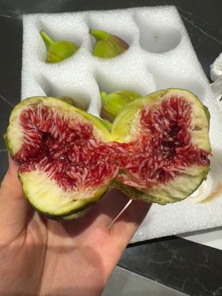 无花果! 【青皮无花果】#上热门 熟透的更好吃香甜软糯,分享给爱吃无花果的小伙伴绝了,一口一个太过瘾了!!#无花果#青皮无花果#新鲜采摘 #应季水果