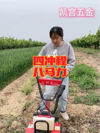 可以松土开沟,除草犁地,一机多用型的小型汽油微耕机,整机重量25公斤,老人女士都可以轻松操作,顺丰包邮到您家。#除草 #微耕机 #农民种地 #农业机械 #园林工具