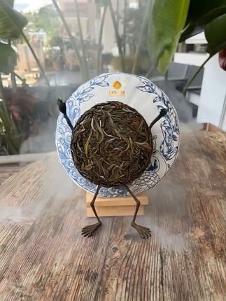 热吗,喝泡海拔最高的大忠山普洱茶,特大古树纯料。