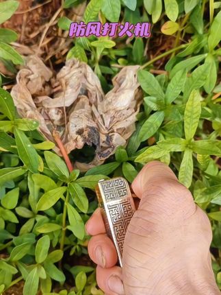 #防风打火机#打火机#好东西一起分享 #宜春好物