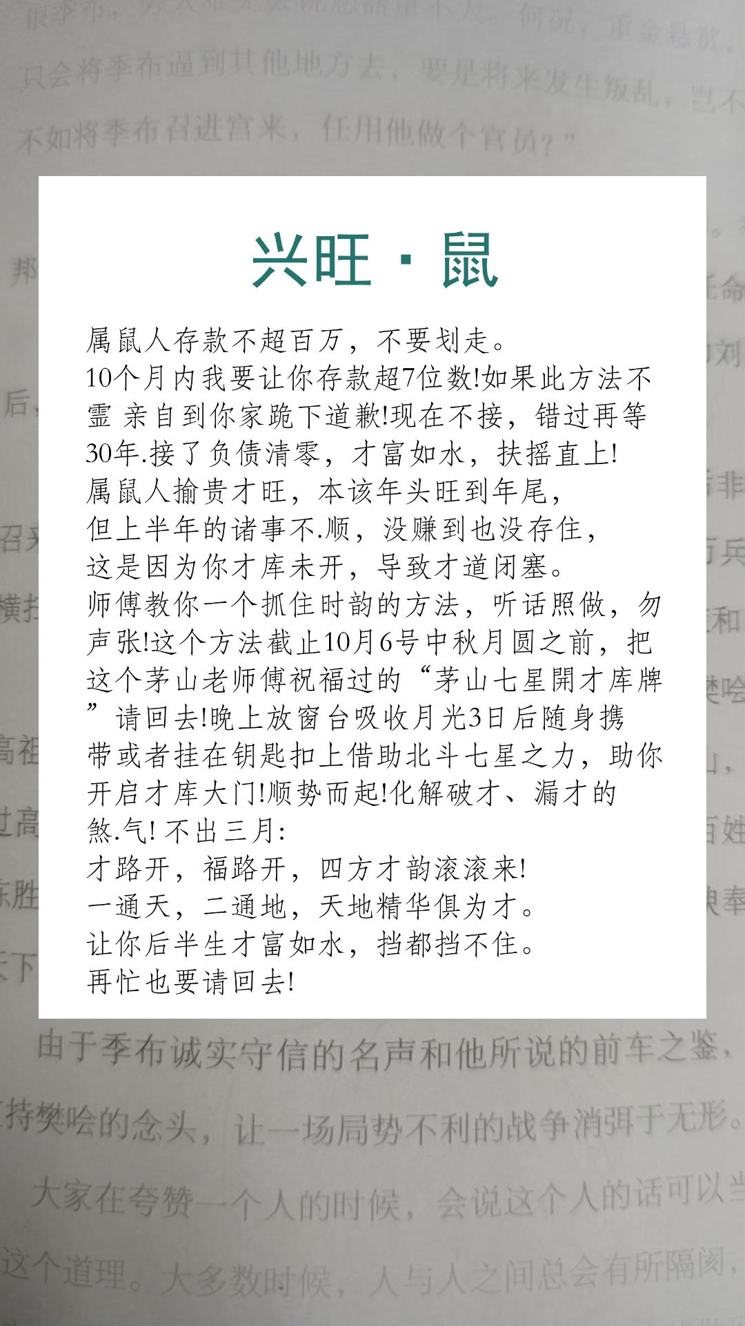 #鼠 #属鼠 #生肖鼠